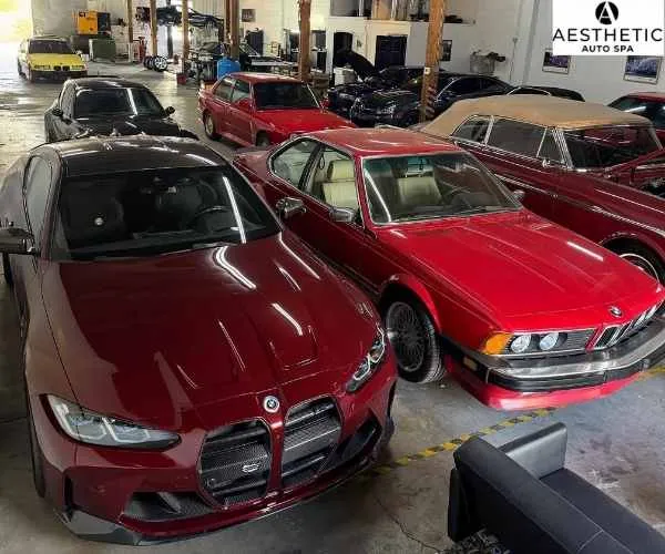 highlighting a fleet of pristine vehicles following paint correction