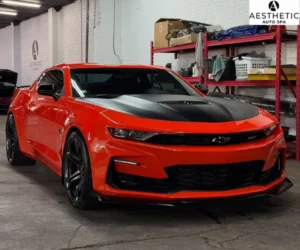 high-gloss finish under garage lighting, referencing paint correction